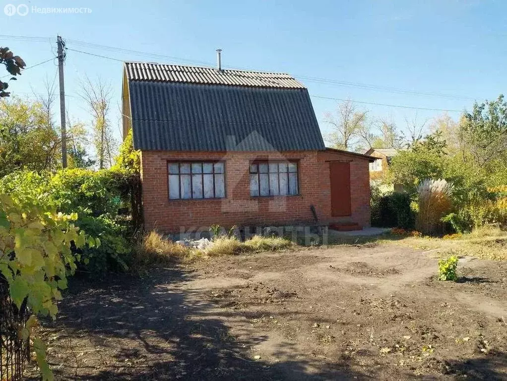 Дом в Воронеж, СНТ Ягодка, Садовая улица (38.1 м) - Фото 1