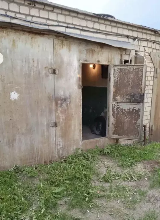 Гараж в Белгородская область, Старый Оскол Автолюбитель-1 ... - Фото 1