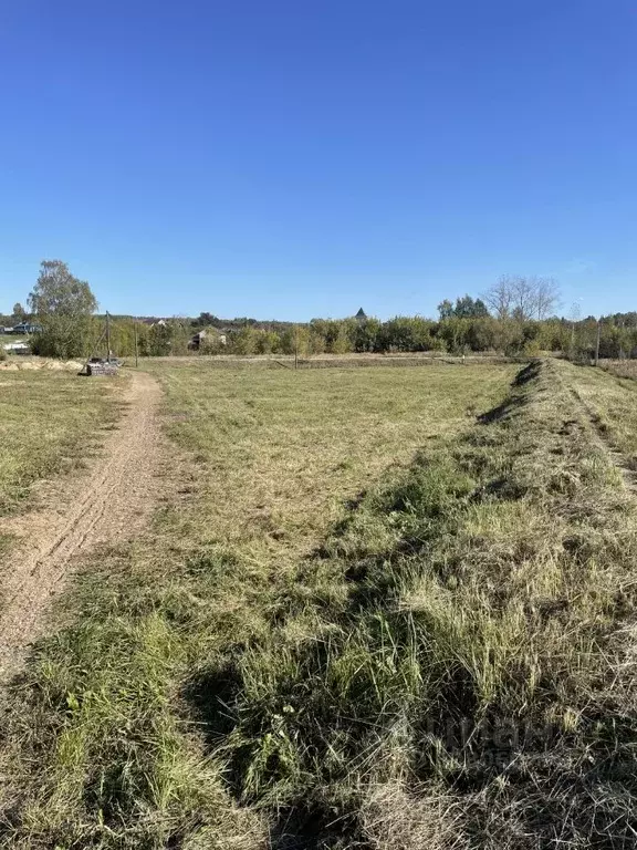 Участок в Нижегородская область, Богородский муниципальный округ, с. ... - Фото 1