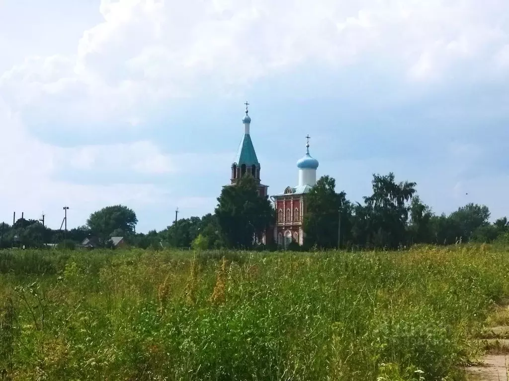Участок в Тульская область, Ясногорский район, Теляковское с/пос, д. ... - Фото 1