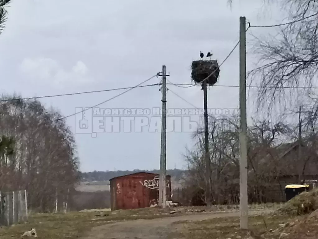 Участок в Смоленская область, Смоленский муниципальный округ, д. ... - Фото 1