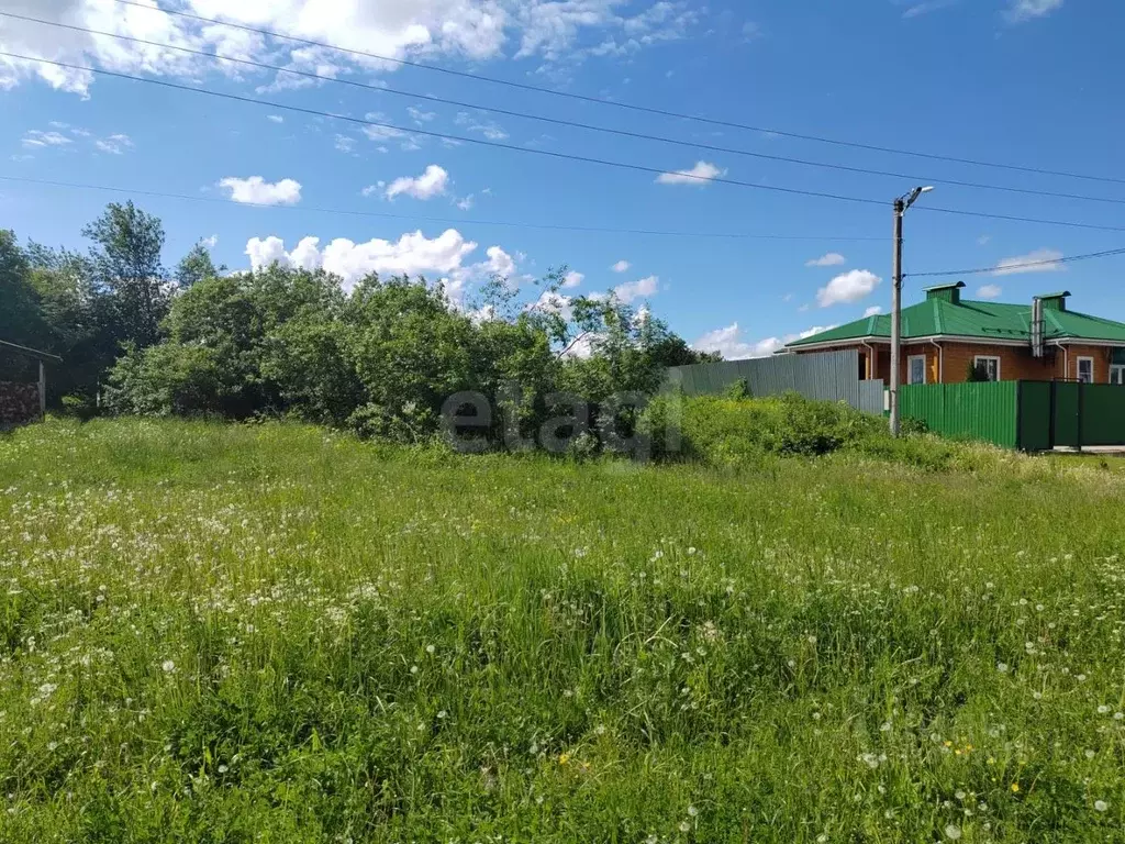 Участок в Нижегородская область, Арзамас городской округ, с. ... - Фото 2