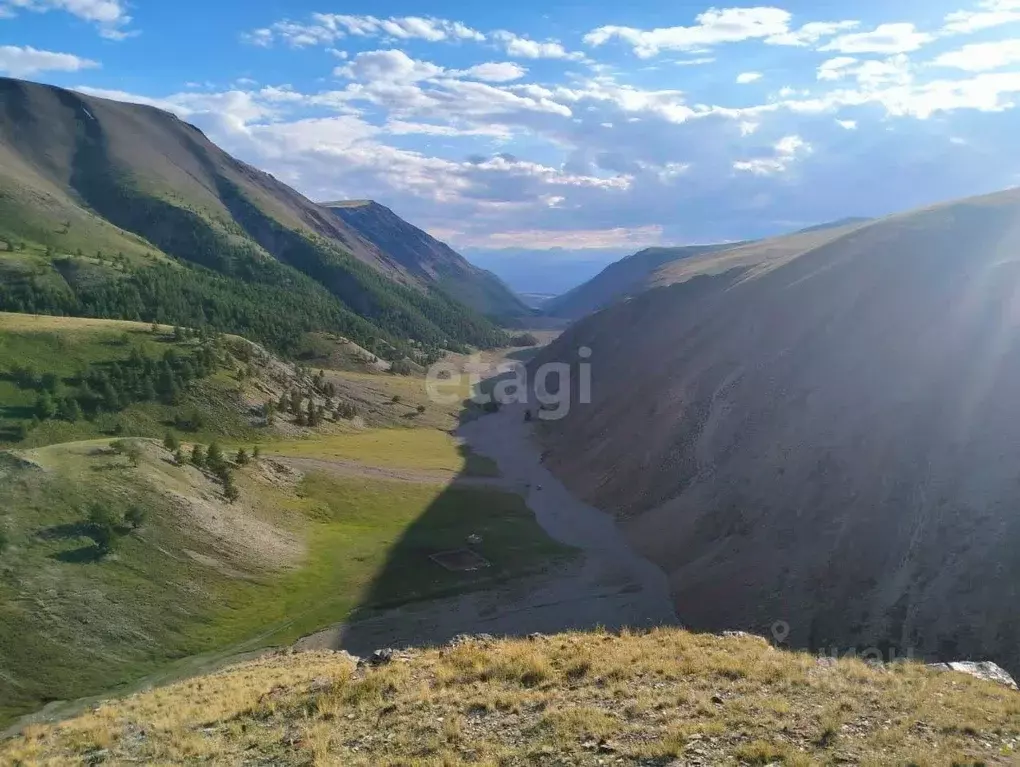 Участок в Алтай, Кош-Агачский район, с. Теленгит-Сортогой  (507.0 ... - Фото 0