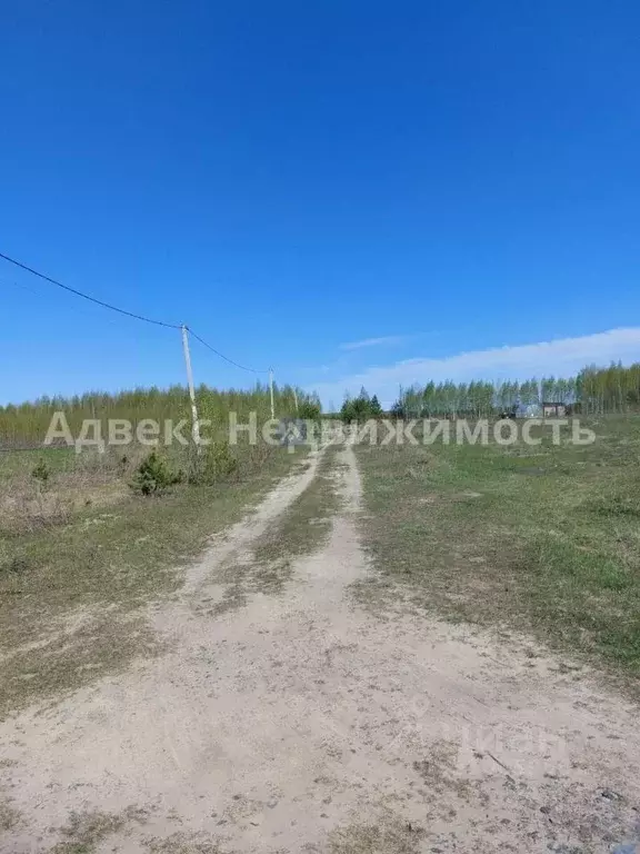 Участок в Тюменская область, Тюменский район, с. Червишево  (8.39 ... - Фото 0