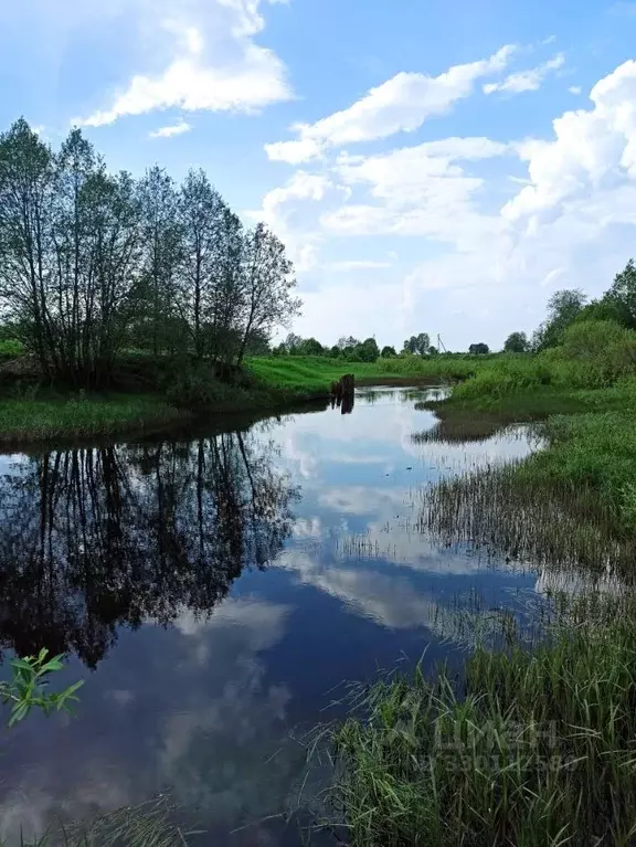 Участок в Вологодская область, д. Кривое  (16.5 сот.) - Фото 1
