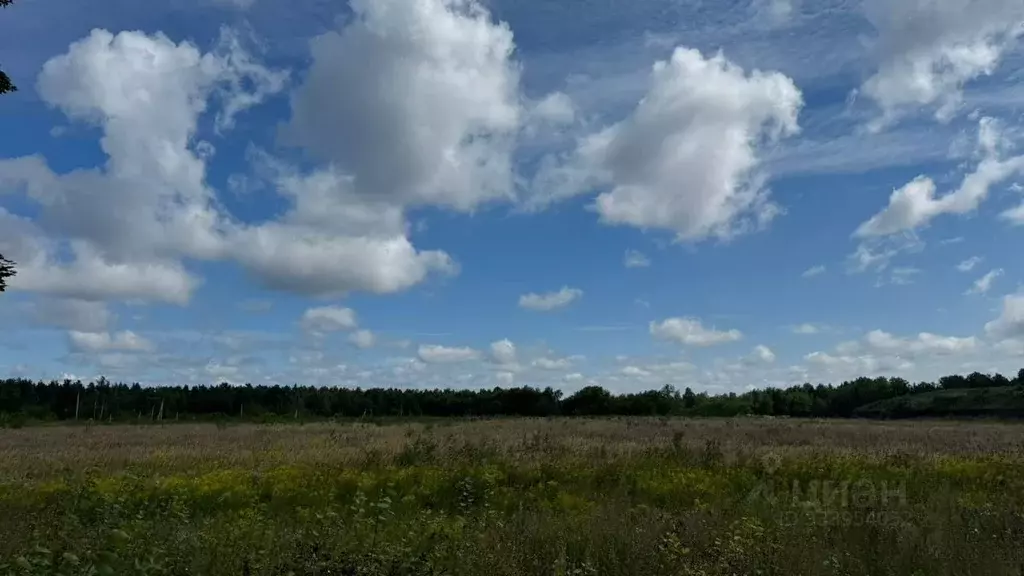 Участок в Московская область, Щелково городской округ, д. Моносеево ... - Фото 2