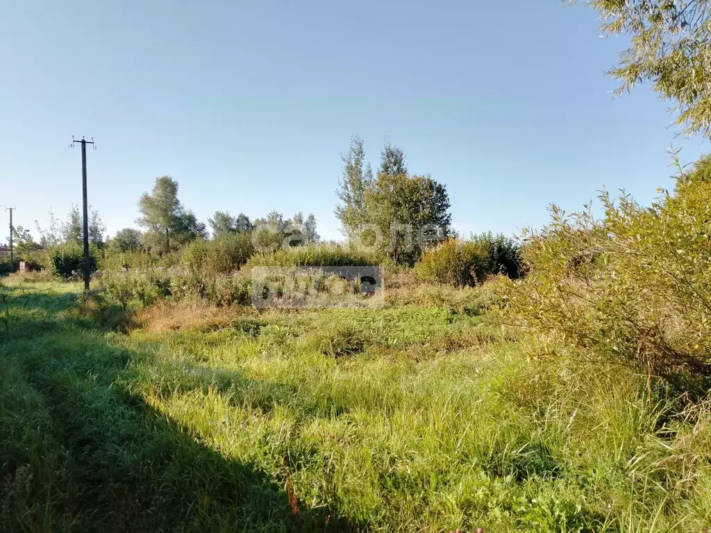 Участок в Новгородская область, Новгородский район, Бронницкое с/пос, ... - Фото 0