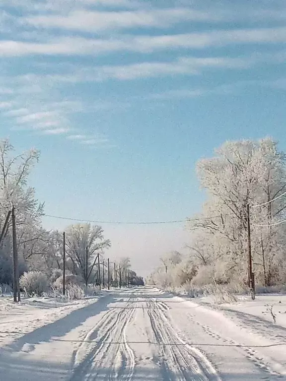 Участок в Омская область, Горьковский район, д. Березовка Лесная ул., ... - Фото 0