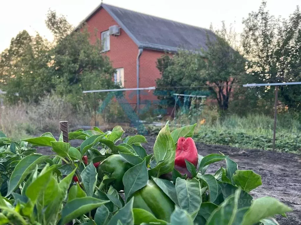 Дом в Белгородская область, Белгородский район, Никольское с/пос, с. ... - Фото 1