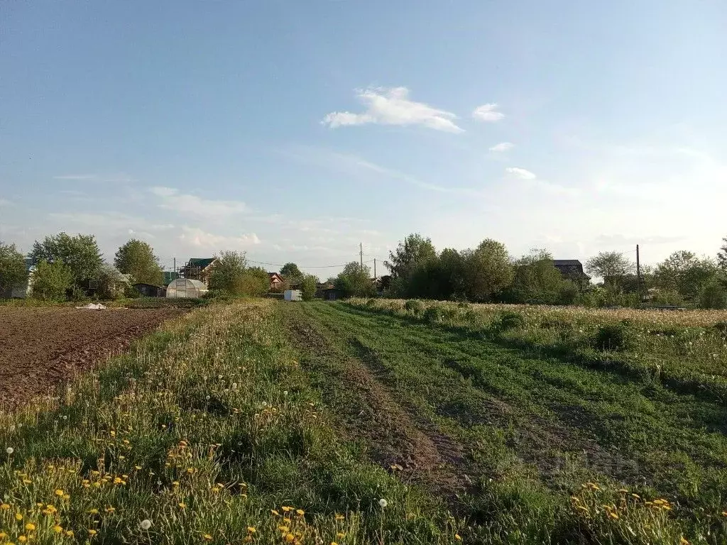 Участок в Вологодская область, пос. Харачево  (6.0 сот.) - Фото 0