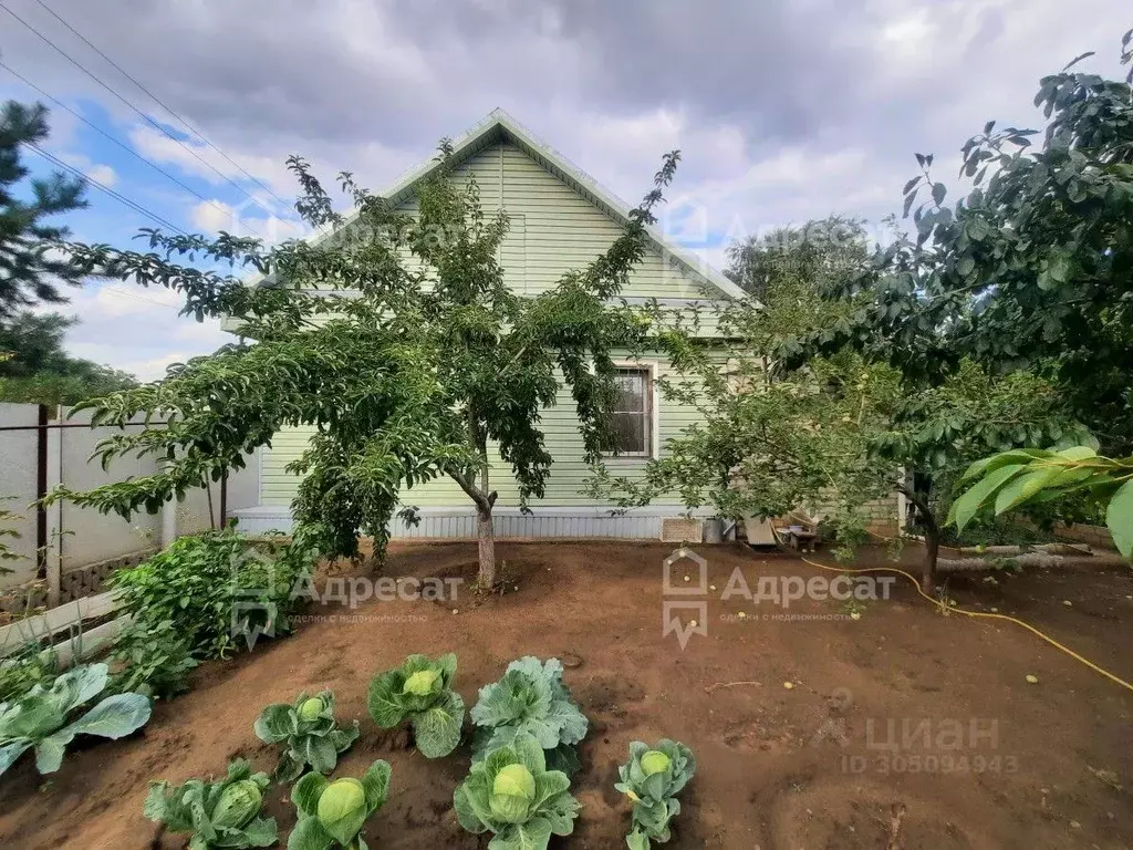 Дом в Волгоградская область, Волгоград Ясеневая ул. (80 м) - Фото 1