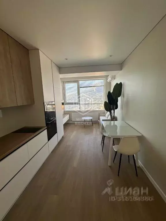 1-к кв. Крым, Ялта муниципальный округ, Массандра пгт ш. Южнобережное, ... - Фото 2