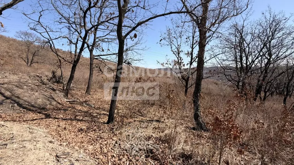 Участок в Приморский край, Находка Звезда СНТ, ул. Коперника (14.0 ... - Фото 2