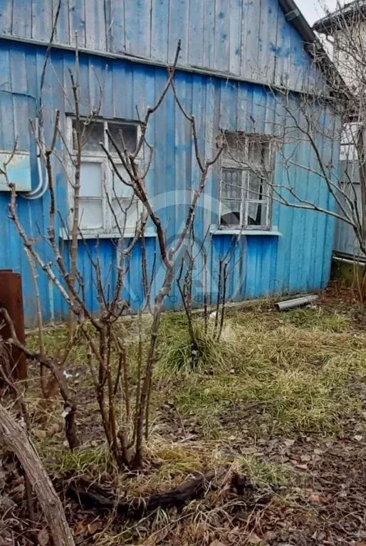 Дом в Краснодарский край, Туапсинский муниципальный округ, ... - Фото 2