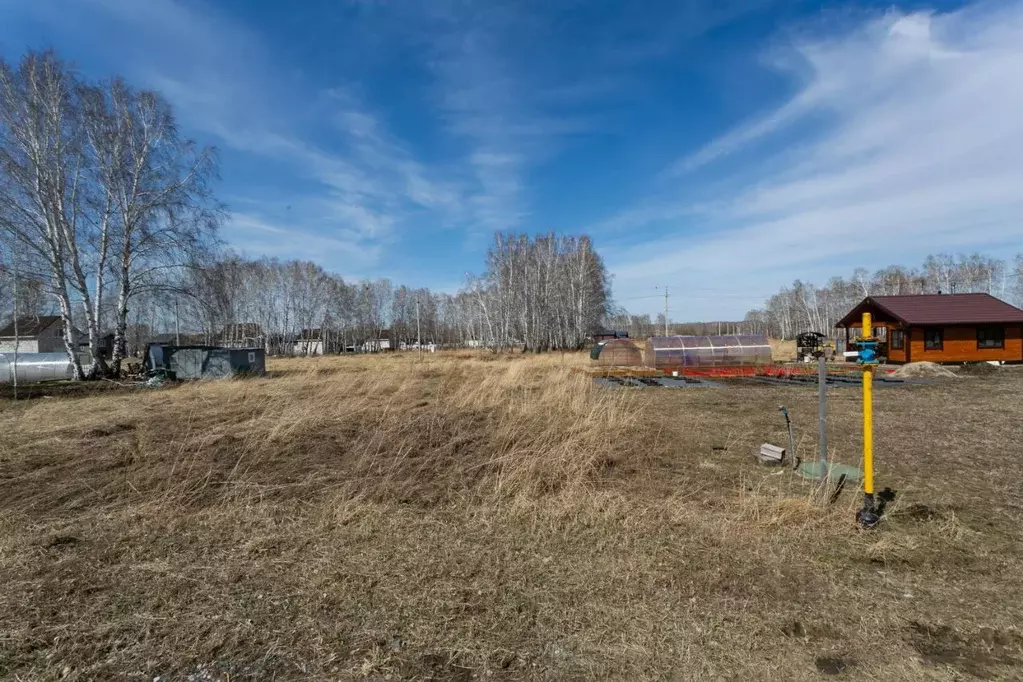 Участок в Новосибирская область, Новосибирский район, Сибирские ... - Фото 2