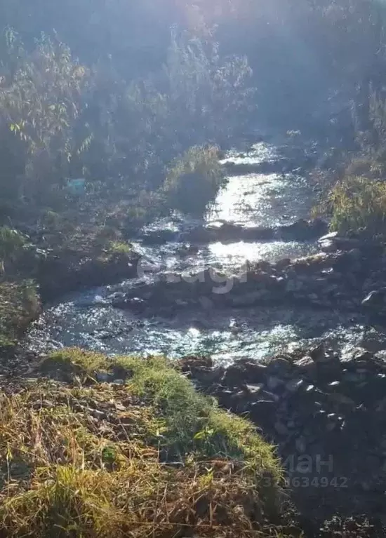 Участок в Сахалинская область, Южно-Сахалинск Вишневый сад-2 СНТ,  ... - Фото 1