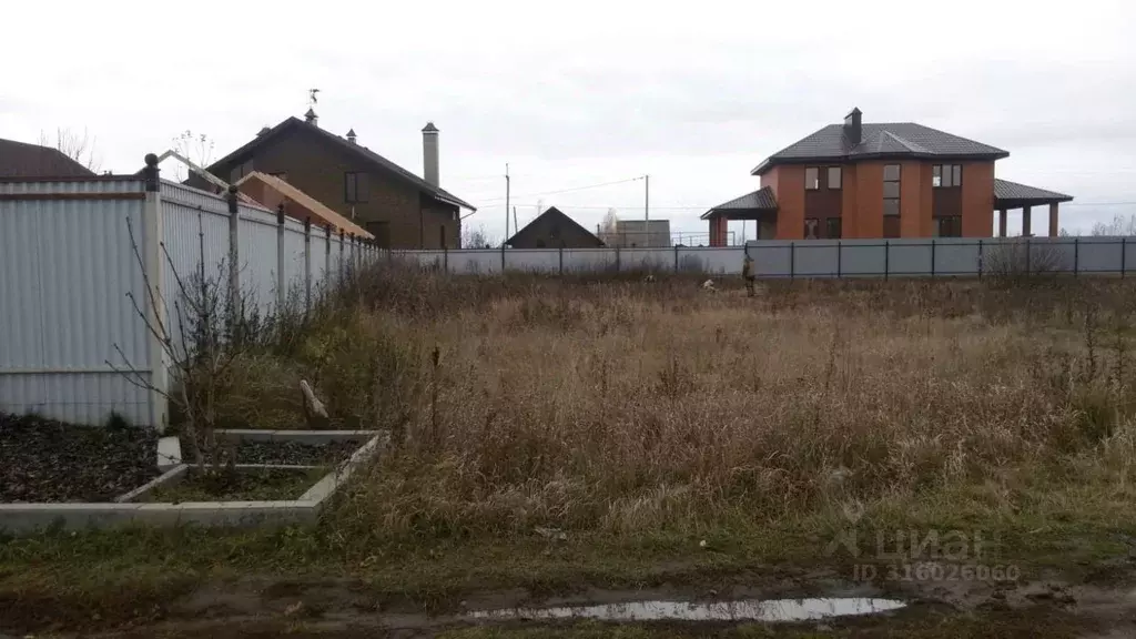 Участок в Тамбовская область, Тамбовский муниципальный округ, Заречье ... - Фото 2