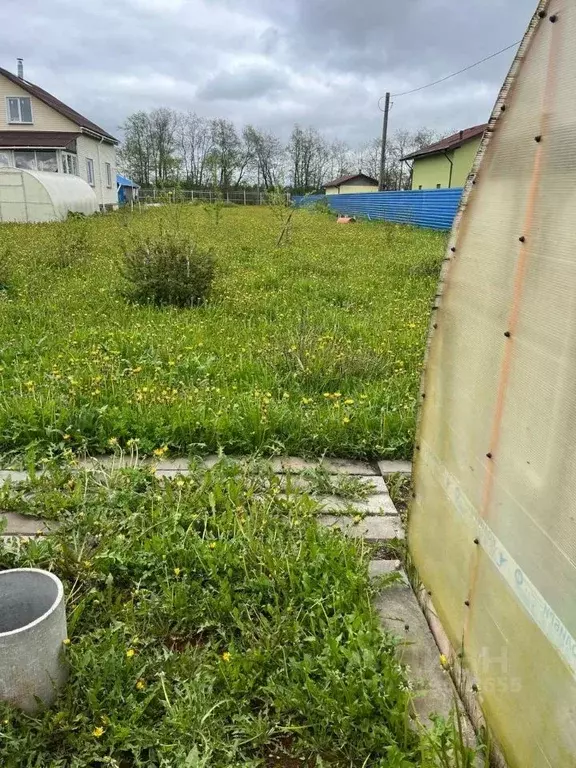 Участок в Ленинградская область, Волосовский район, д. Клопицы 59 ... - Фото 1