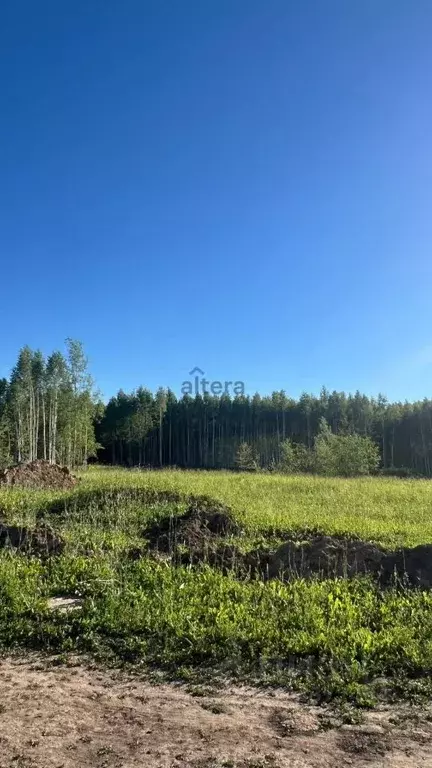 Участок в Татарстан, Высокогорский район, с. Семиозерка  (10.0 сот.) - Фото 0