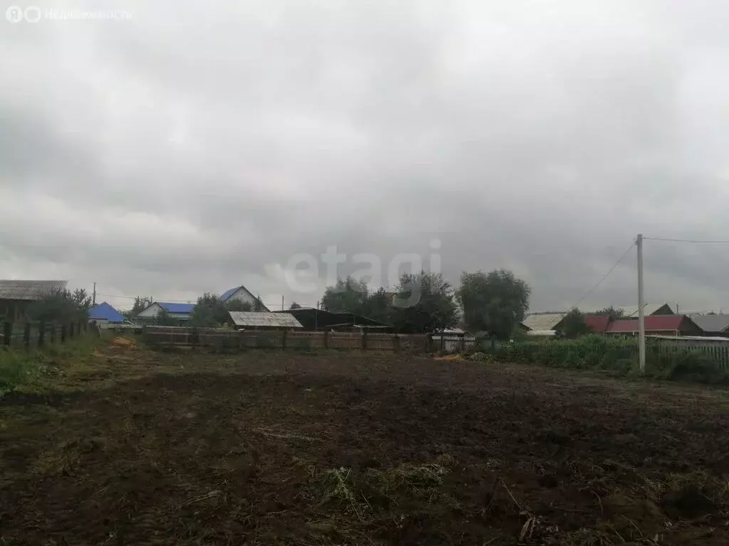 Участок в Иркутский муниципальный округ, село Мамоны (8.69 м) - Фото 1