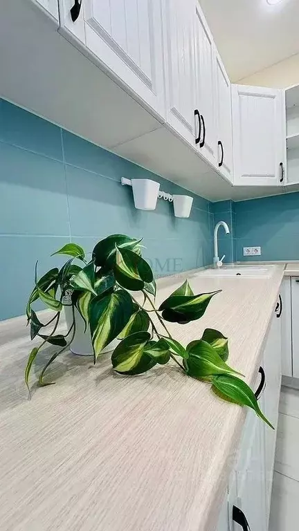 1-к кв. Новосибирская область, Новосибирск ул. Некрасова, 41 (42.0 м) - Фото 2