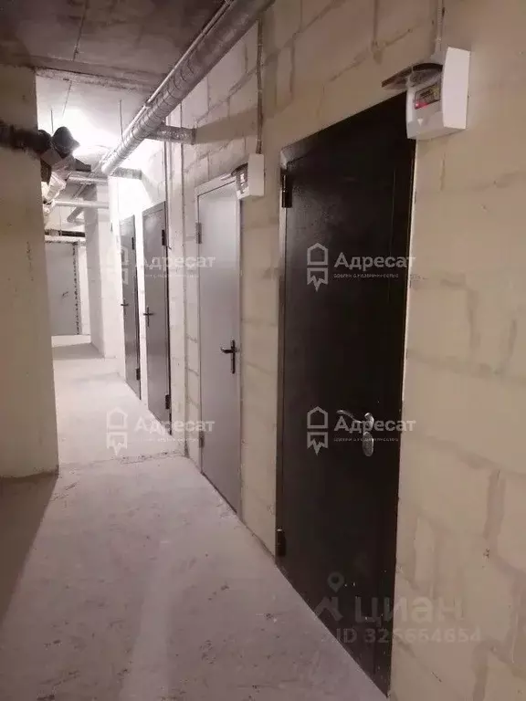 Помещение свободного назначения в Волгоградская область, Волгоград ул. ... - Фото 1