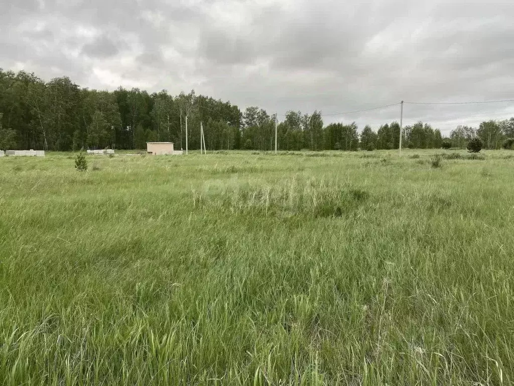 Участок в Курганская область, Кетовский муниципальный округ, д. ... - Фото 1