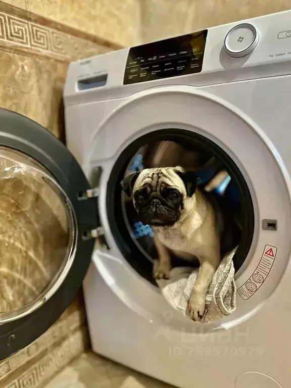 Дом в Крым, Ялта пер. Черноморский, 5 (70 м) - Фото 1