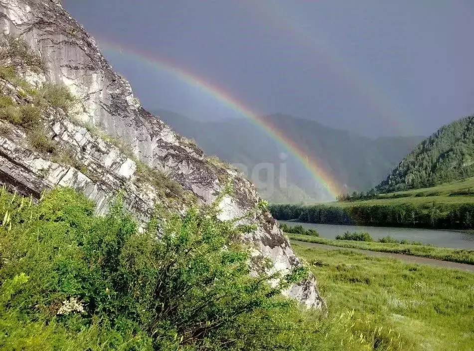 Участок в Алтай, Чемальский район, с. Куюс  (100.0 сот.) - Фото 2