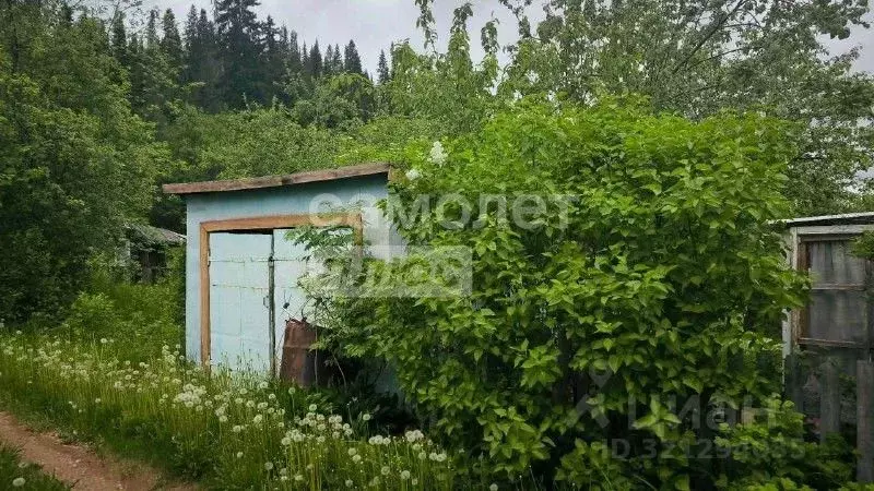 Участок в Пермский край, Краснокамский муниципальный округ, ... - Фото 2