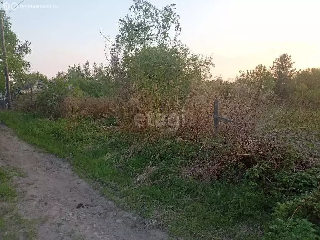 Участок в Хабаровский район, село Мирное (13 м) - Фото 0