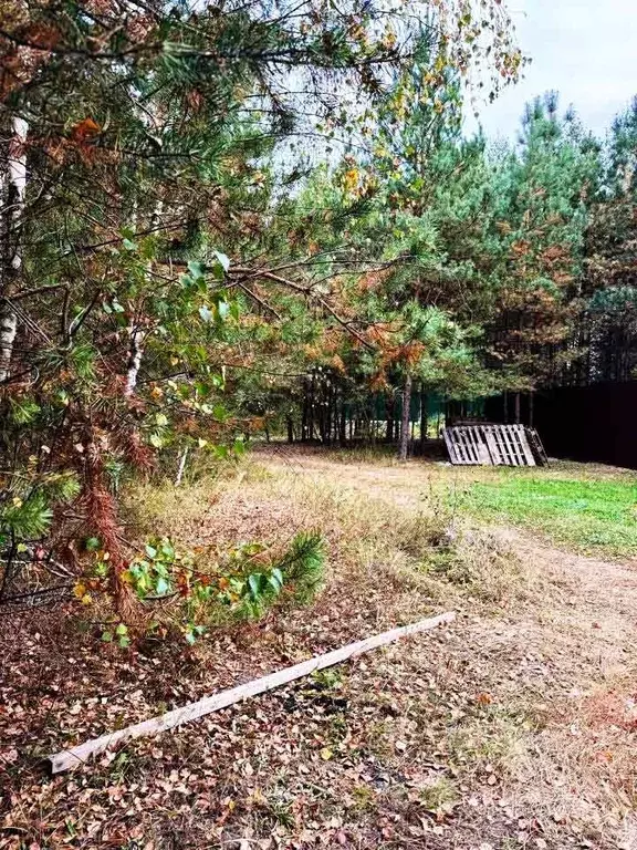 Участок в Московская область, Подольск городской округ, д. Бородино  ... - Фото 1