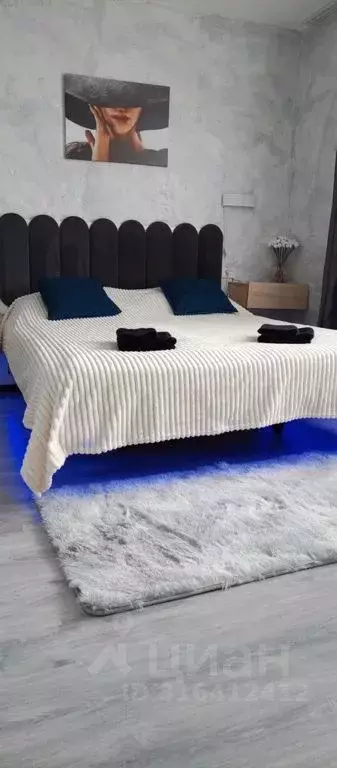 Студия Ленинградская область, Выборг ул. Сторожевой Башни, 9 (24.0 м) - Фото 1