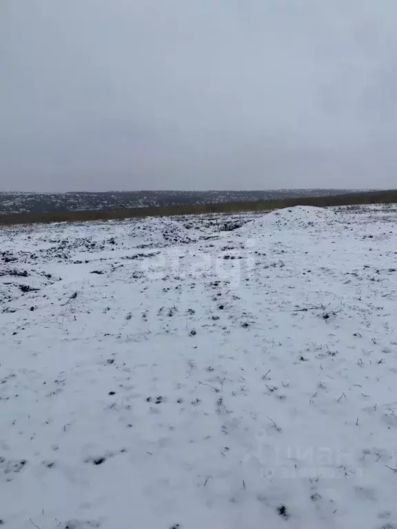 Участок в Белгородская область, Белгородский район, Головинское с/пос, ... - Фото 1