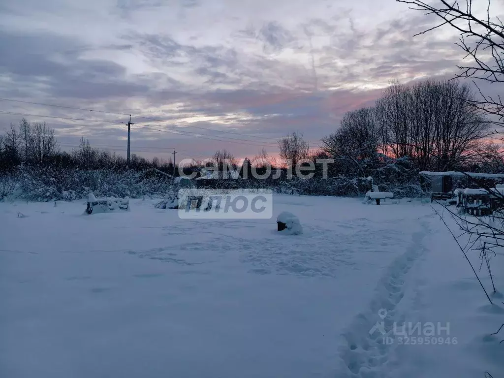 Участок в Ленинградская область, Тосненский район, Рябовское городское ... - Фото 2
