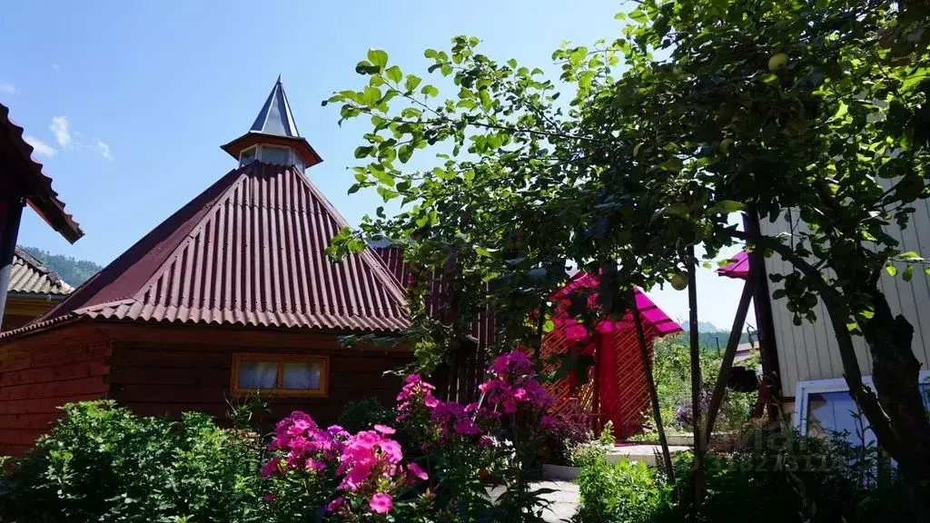 Дом в Алтай, Чемальский район, с. Чемал Советская ул., 15 (20 м) - Фото 0