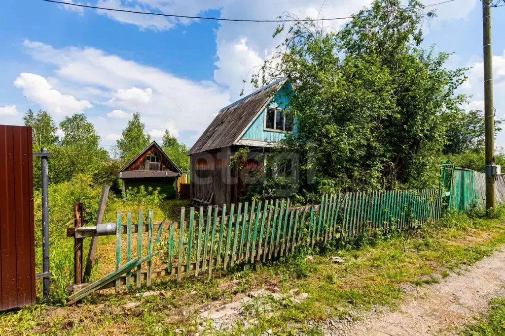 Участок в Тюменская область, Тюмень Надежда-3 СНТ, ул. № 1 (5.84 сот.) - Фото 1