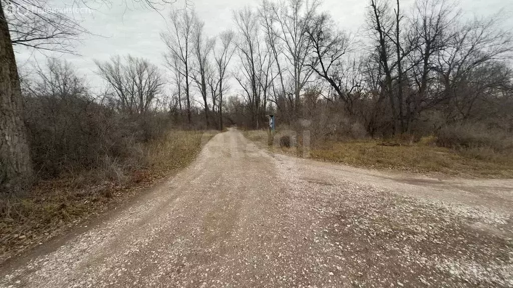 Участок в Наумовский сельсовет, СНТ Зелёный Затон (4.46 м) - Фото 1