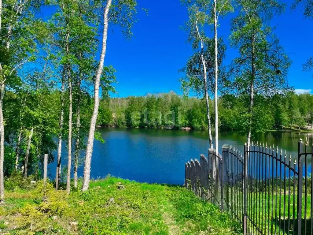 Участок в Ленинградская область, Всеволожский район, Токсовское ... - Фото 1