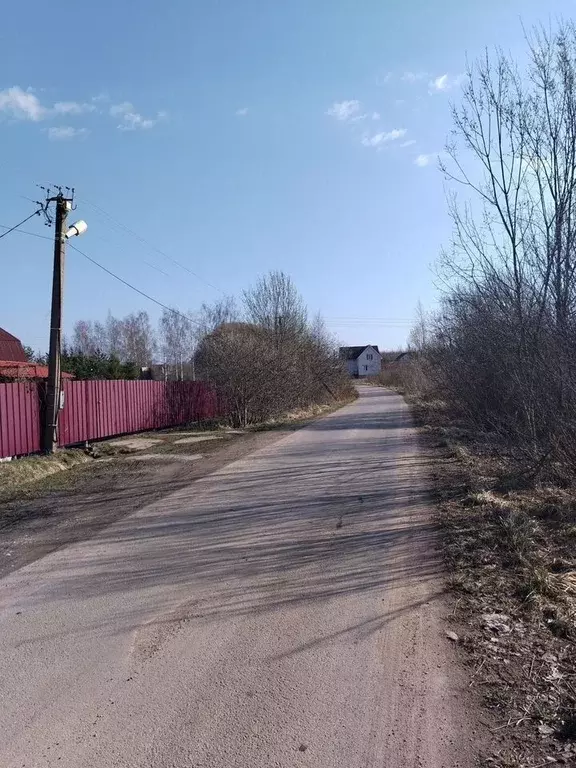 Участок в Новгородская область, Новгородский район, Трубичинское ... - Фото 2