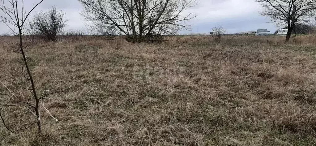 Участок в Белгородская область, с. Красное  (15.0 сот.) - Фото 0