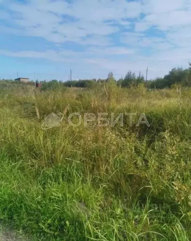 Участок в Тюменская область, Тюмень Садовое товарищество Липовый ... - Фото 1