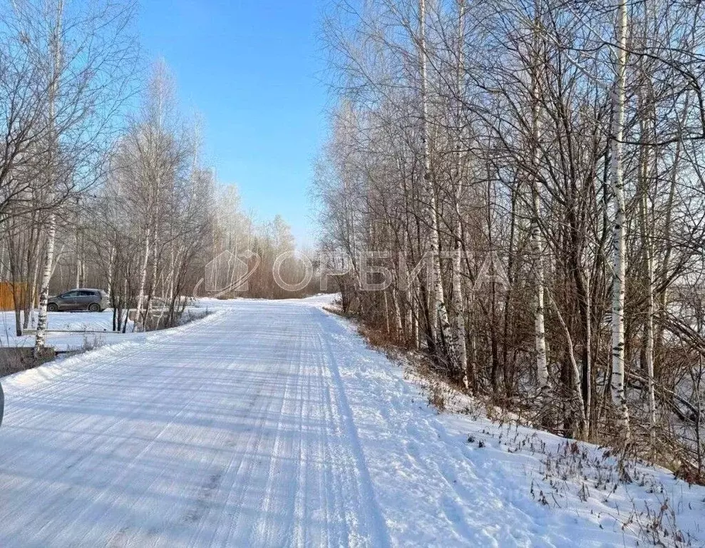 Участок в Тюменская область, Тюменский муниципальный округ, ... - Фото 2