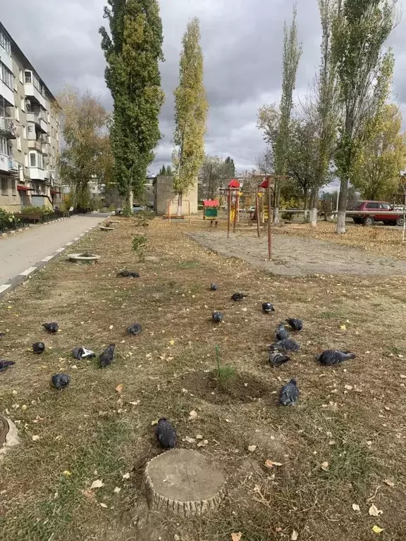 3-к кв. Саратовская область, Саратов ул. Мало-Елшанская, 15 (59.2 м) - Фото 1