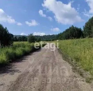 Участок в Красноярский край, Емельяновский район, Солонцовский ... - Фото 1