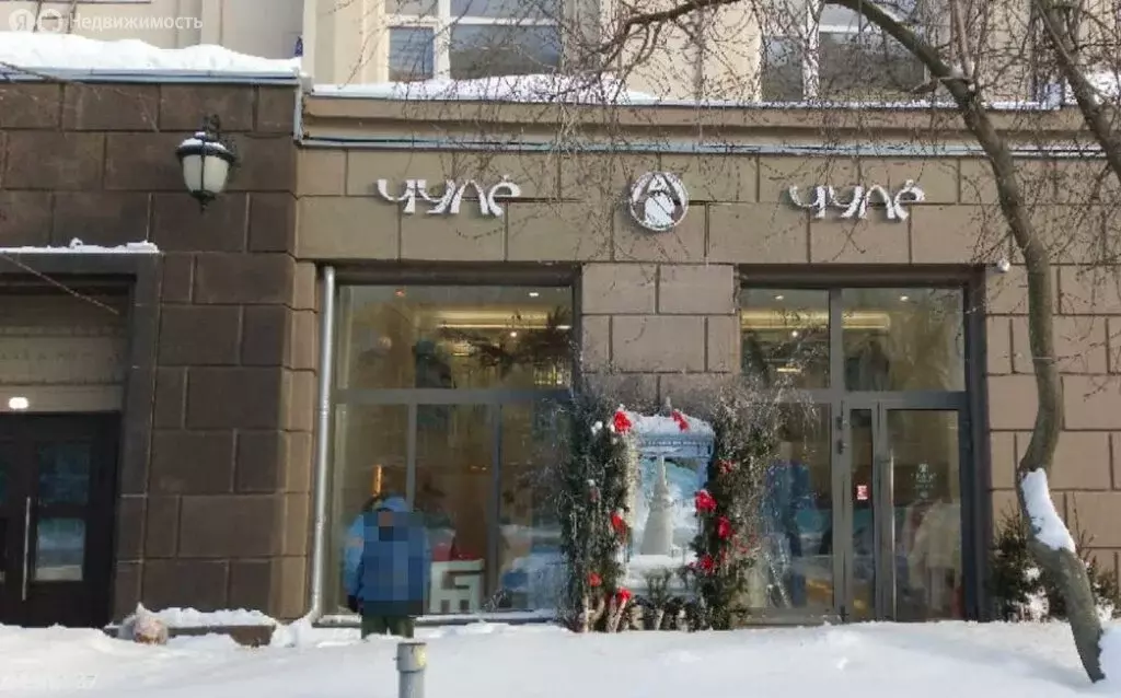 Помещение свободного назначения (257 м) - Фото 2