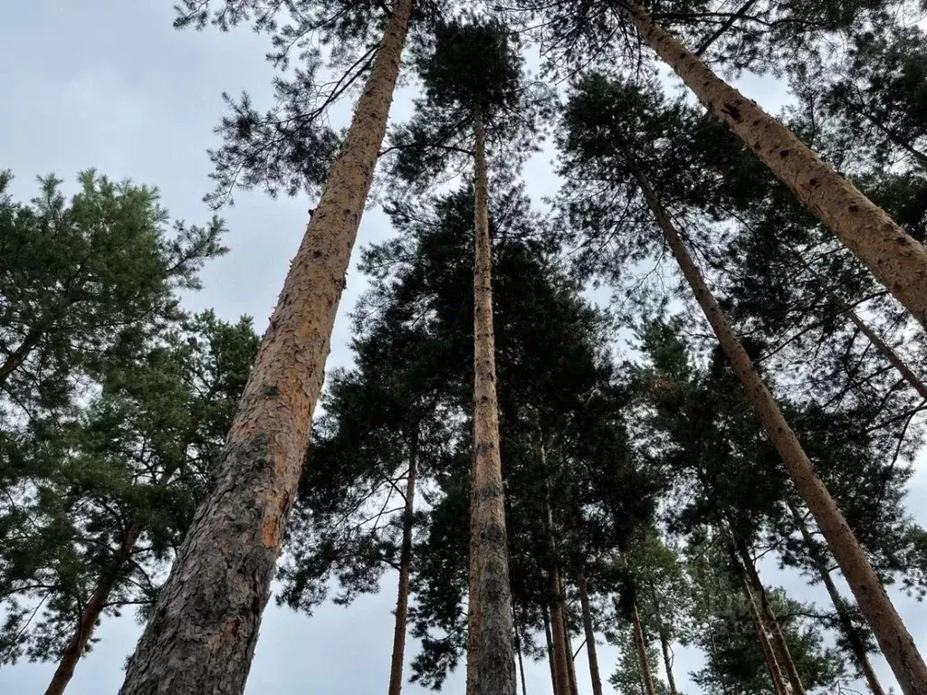 Коттедж в Ленинградская область, Всеволожский район, Бугровское ... - Фото 1