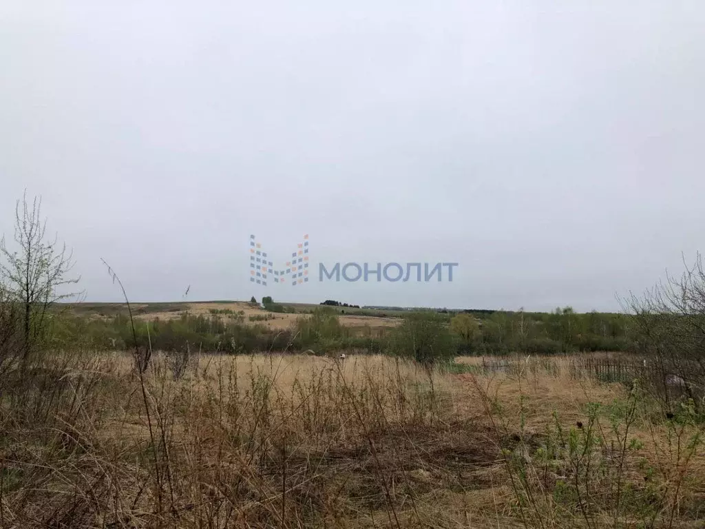 Участок в Нижегородская область, Нижний Новгород с. Слободское,  (25.0 ... - Фото 0
