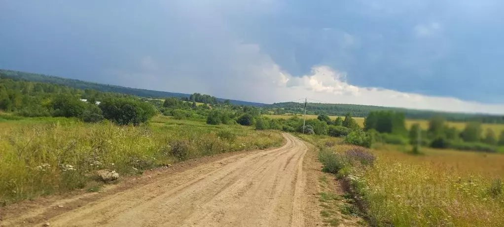 Участок в Кемеровская область, Кемеровский район, д. Осиновка  (10.0 ... - Фото 0