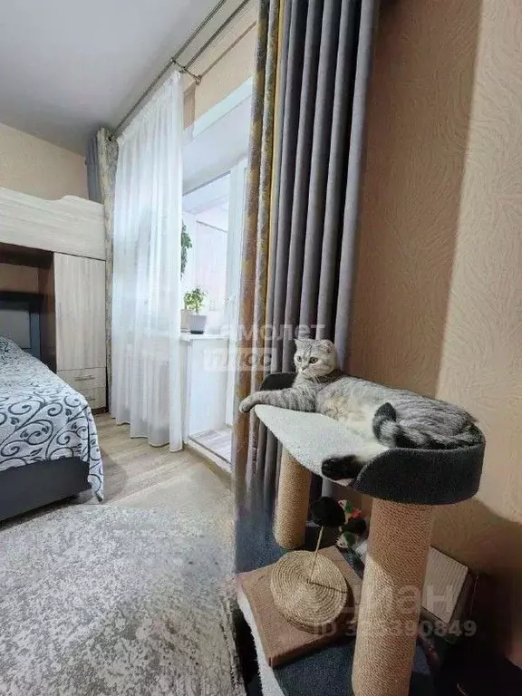 1-к кв. Амурская область, Благовещенск ул. Василенко, 20/1 (29.2 м) - Фото 2